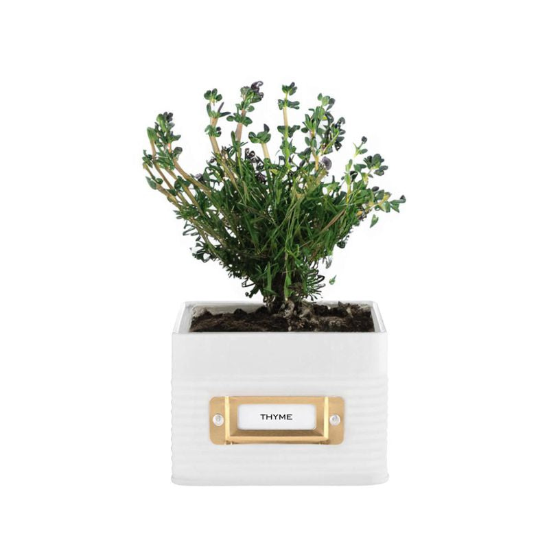 OTTO White Herb Planter 4.3