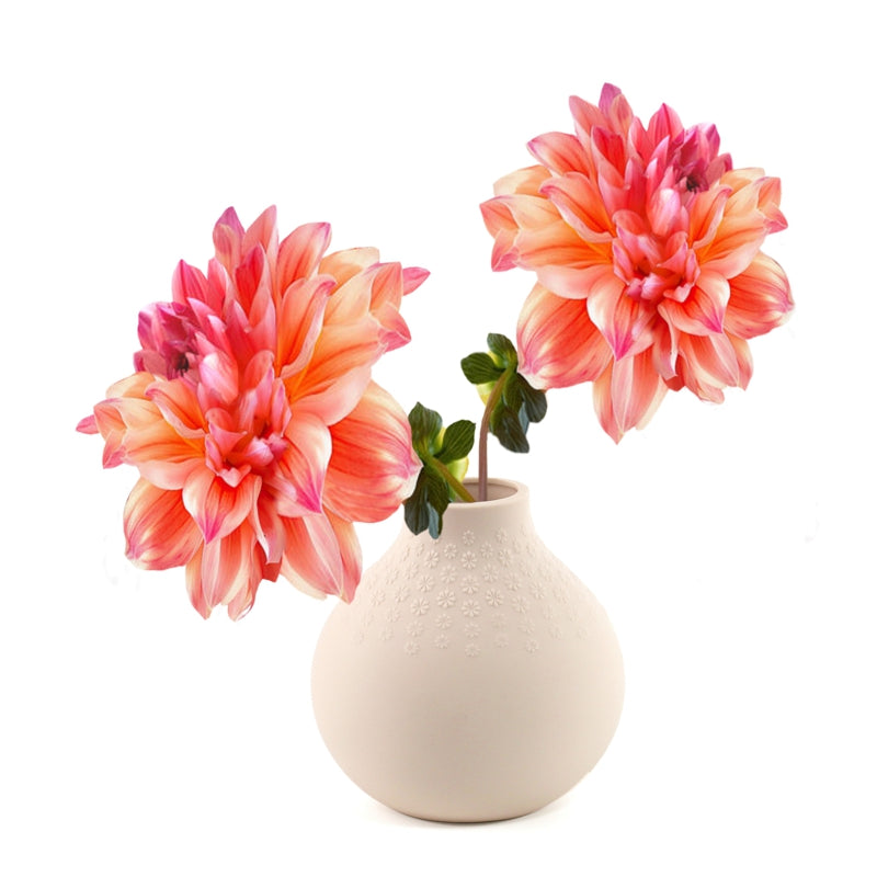 Natural Living  Bouquet Bulb Vase 4.33″ Pink 3480618PK - 1/1EA