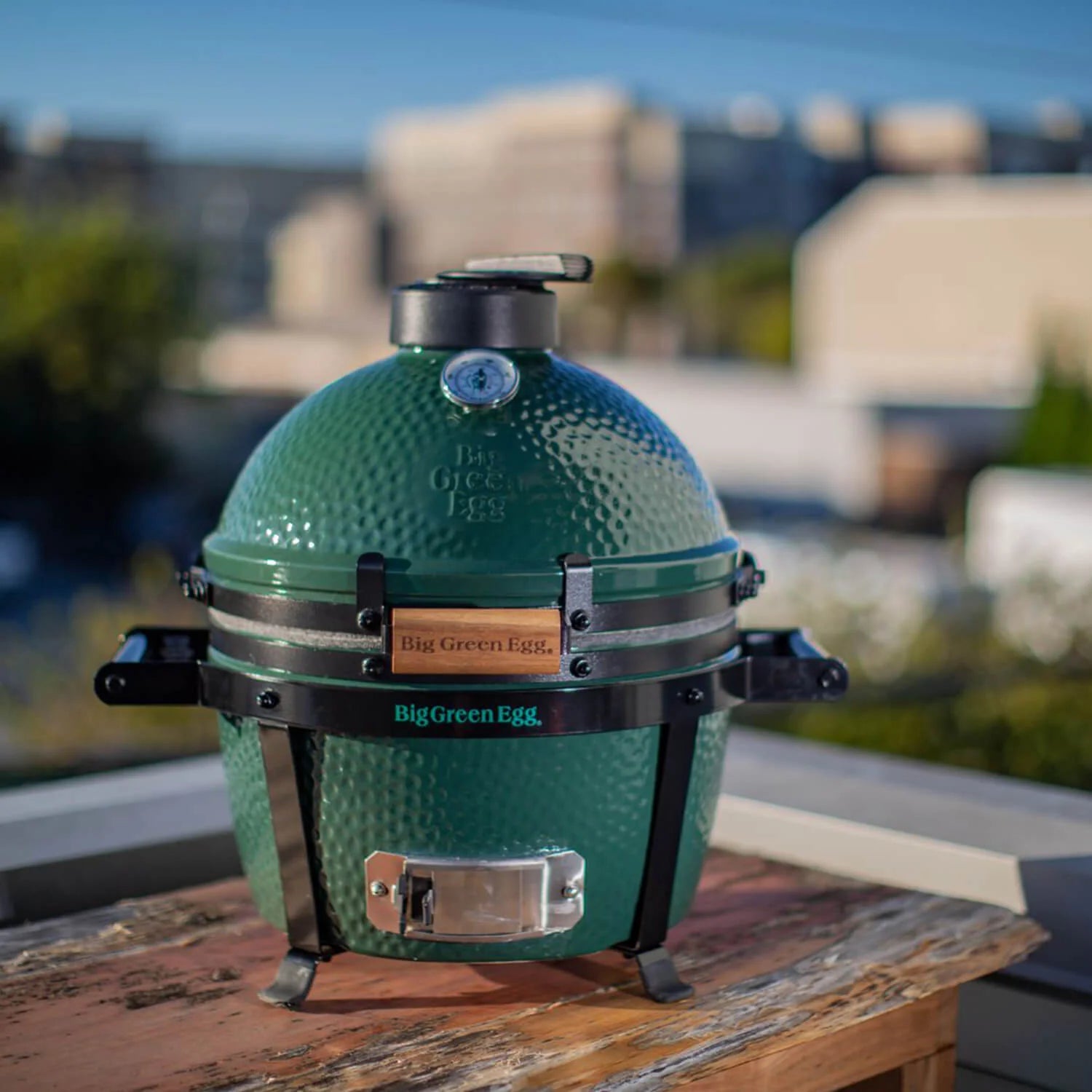 MiniMax Big Green Egg Original Kit 389913 - 1/1EA