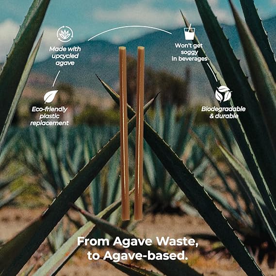 GP&P - Jumbo Natural Agave 8.25