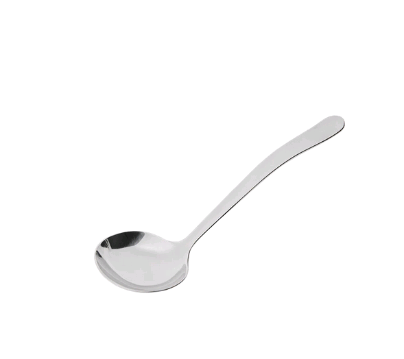 Browne - New Era Serving Spoon 6.5