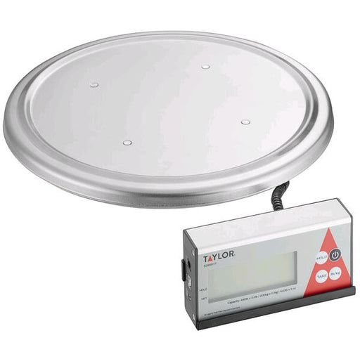 Stainless Steel Keg Scales on white background