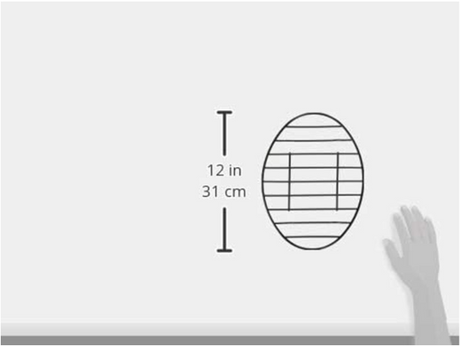 Danesco Roasting Rack Oval - Nonstick, 8.5 x 12-in 80868827