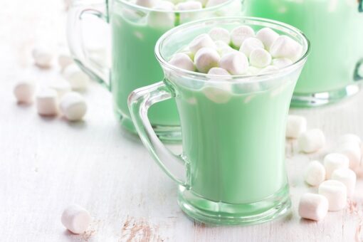 Gourmet Village Dinosaur Hot Chocolate Cube GCHOXDI