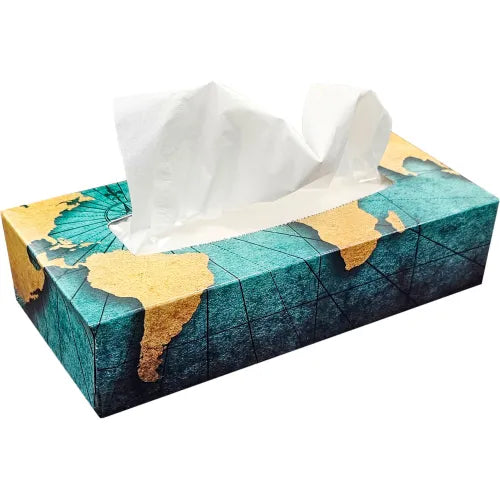 Globe Commercial - Facial Tissue 2-Ply White FT100 - (Case of 30)