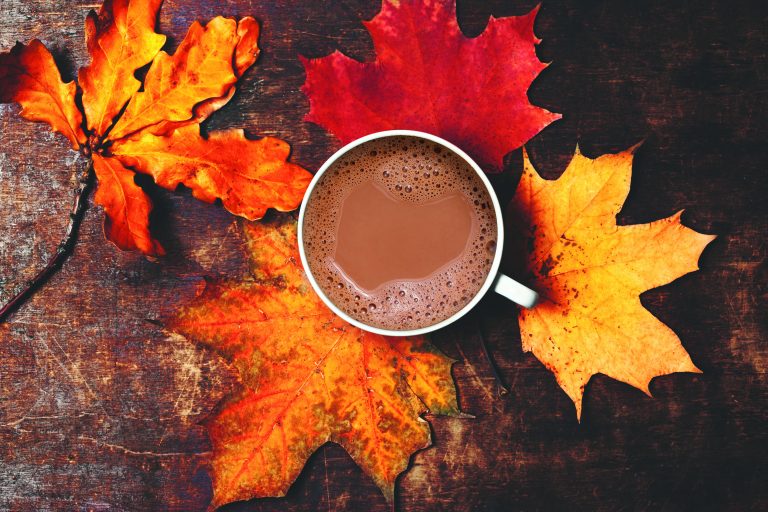 GV - Maple Cocoa, Double Truffle, Hot Chocolate Blend GCHOMCM