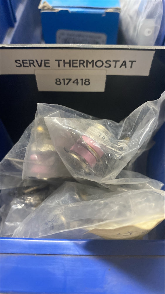 Server Thermostat 54449 1/1EA*