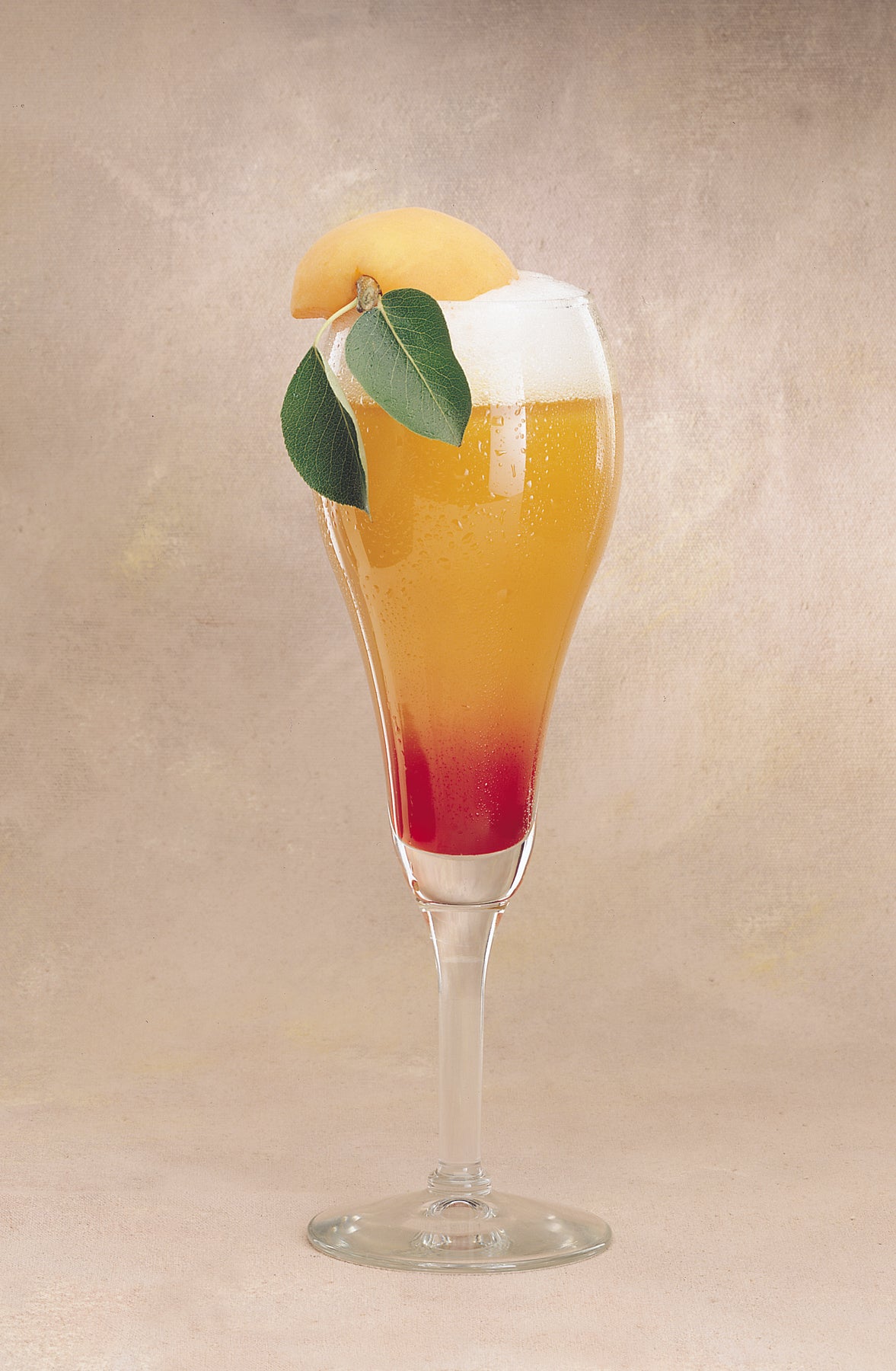 Libbey CHAMPAGNE TULIP 9 OZ 8476