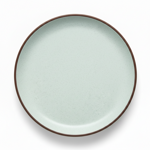 Steelite 9.5" Spice Sea Salt Plate 6212RT002 - (Case of 12)*