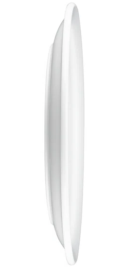 Browne - Palm Side Plate, 6.5