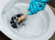 HydroForce - Toilet Plunger 3455 - 1/1EA