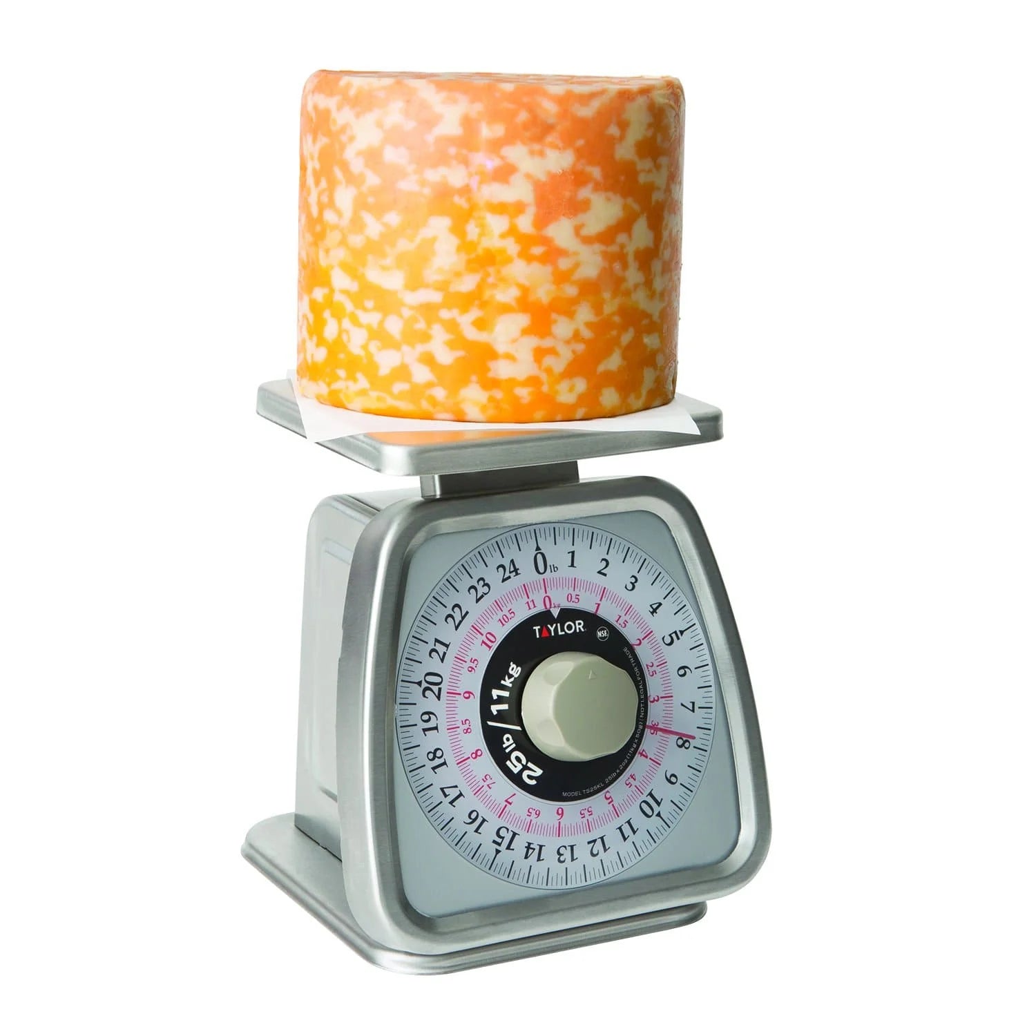 Taylor Scale Rotating Dial 25LB TS25KL | s.t.o.p. Restaurant Supply