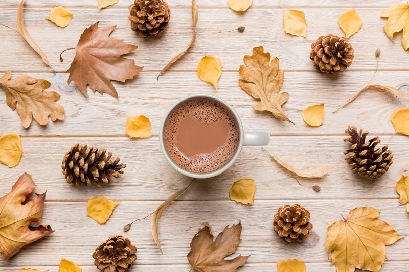 Gourmet Village Raccoon Double Truffle Hot Chocolate GCHOMWR