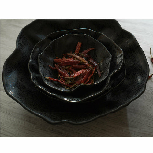 Cheforward Rainex 14