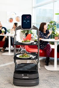 DEMO* Browne Technology iAssist AI Robot Server