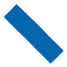 Blue Bandage 1"x3"