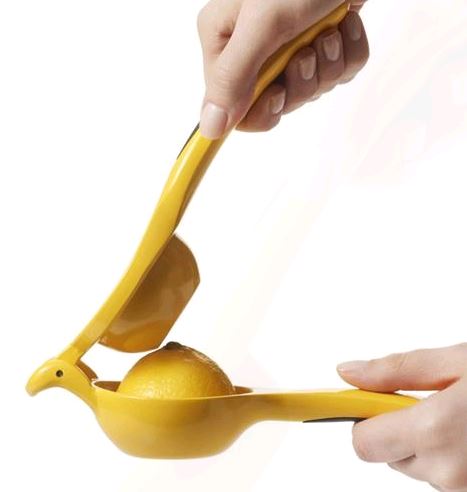 Danesco Citrus Squeeze Juicer 1057962