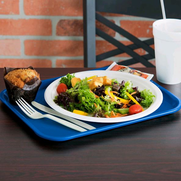 Polypropylene Fast Food Tray 10 x 14