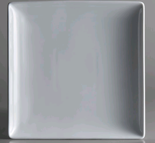 Oneida 9.5