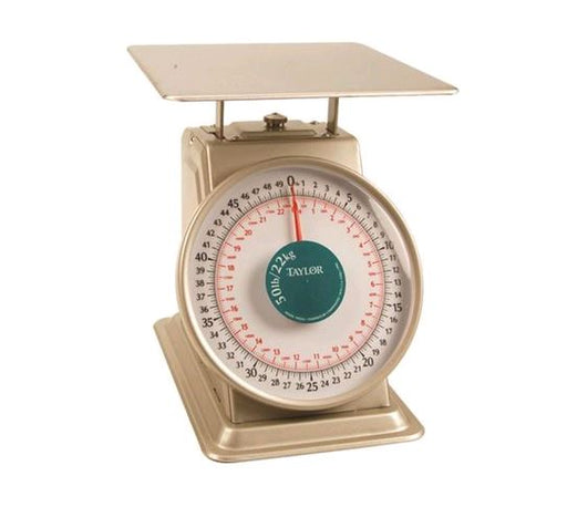Taylor Thermometer 22KG Stainless Steel Scale on white background